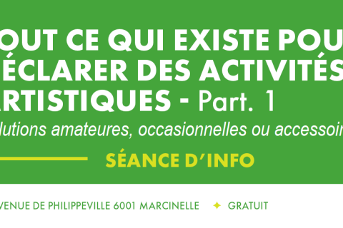 Séance d'info : TOUT CE QUI EXISTE POUR DÉCLARER DES ACTIVITÉS ARTISTIQUES - Lu 3 mars à 17h30 - Partie 1