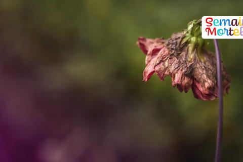 Ré-apprivoiser la mort || Conférence dans le cadre de la Semaine Mortelle